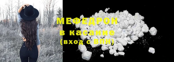 индика Арсеньев