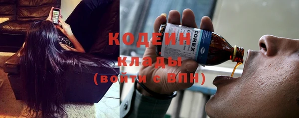 индика Арсеньев