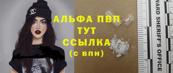 индика Арсеньев