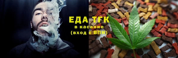 индика Арсеньев