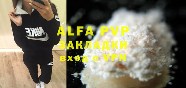 индика Арсеньев