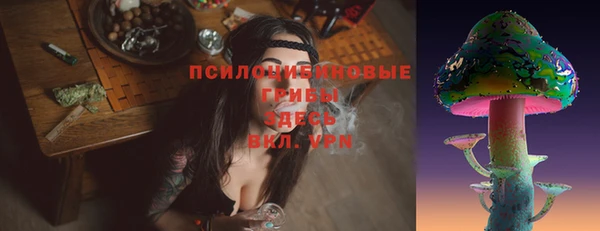 индика Арсеньев
