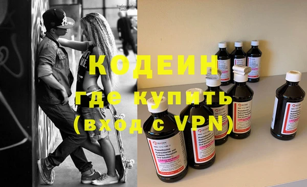 индика Арсеньев