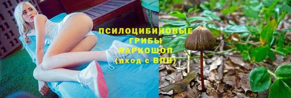 прущий лед Армянск